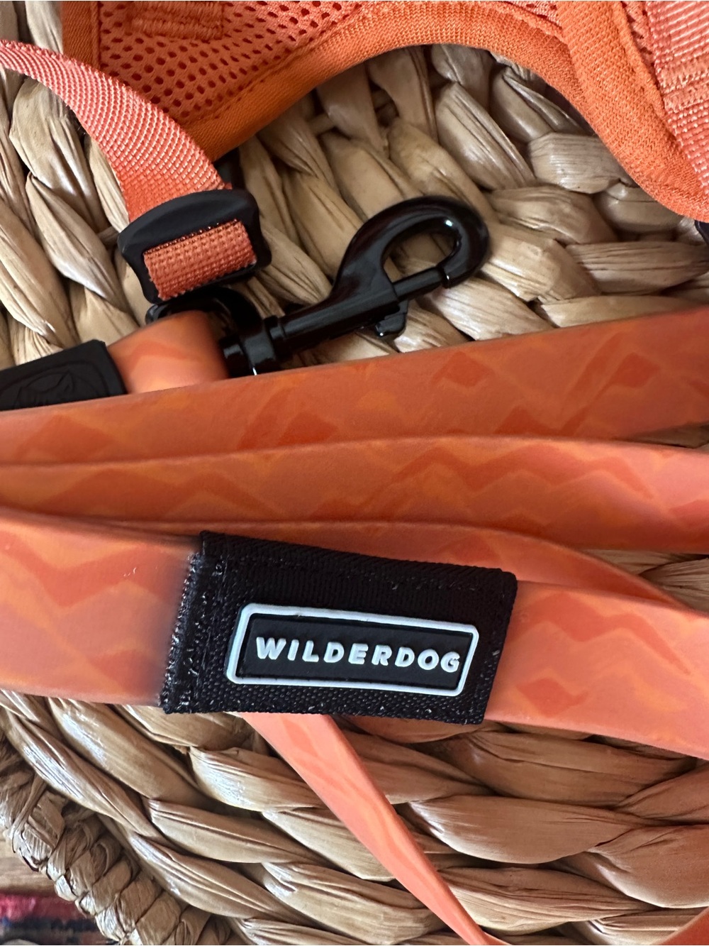 Wilderdog Premium Outdoor Dog Gear Bundle Set - Orange/Blue - Size Small - Picture 2 of 5